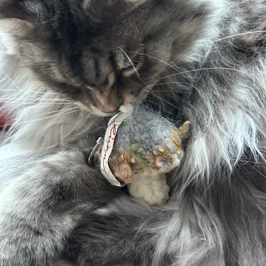 Glacier Bloom - Handmade Crochet Mushroom Charm